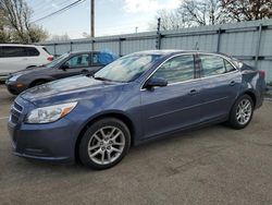 Chevrolet Malibu 1LT Vehiculos salvage en venta: 2013 Chevrolet Malibu 1LT