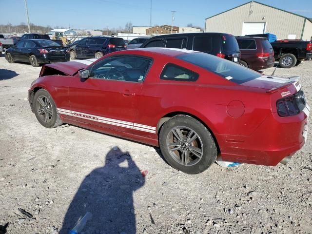 2013 Ford Mustang