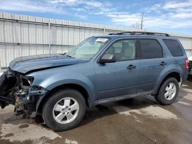 2011 Ford Escape XLT