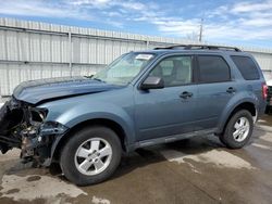 Salvage cars for sale at Littleton, CO auction: 2011 Ford Escape XLT