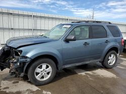 Ford Escape salvage cars for sale: 2011 Ford Escape XLT