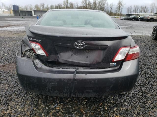 2009 Toyota Camry Hybrid