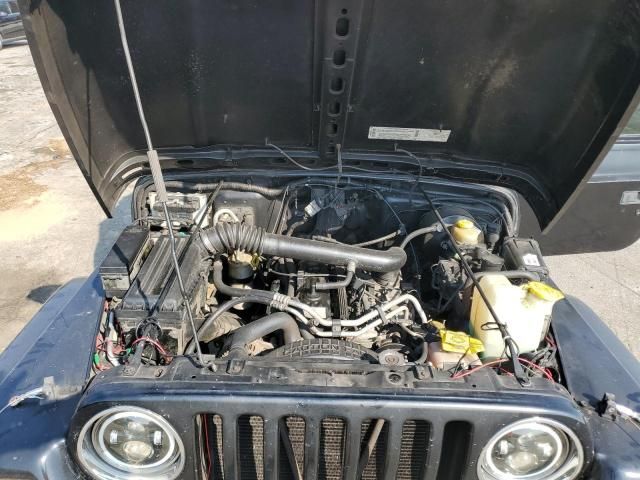 2002 Jeep Wrangler / TJ X