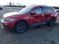 Salvage cars for sale at Finksburg, MD auction: 2023 Volkswagen Tiguan SE