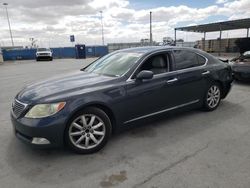 2008 Lexus LS 460 for sale in Anthony, TX