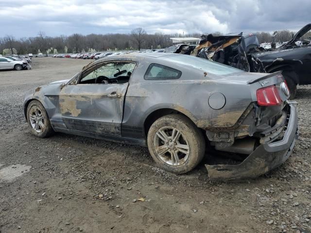 2011 Ford Mustang