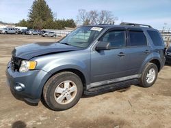 Salvage cars for sale from Copart Finksburg, MD: 2010 Ford Escape XLT