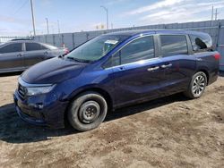 Salvage cars for sale at Greenwood, NE auction: 2021 Honda Odyssey EXL