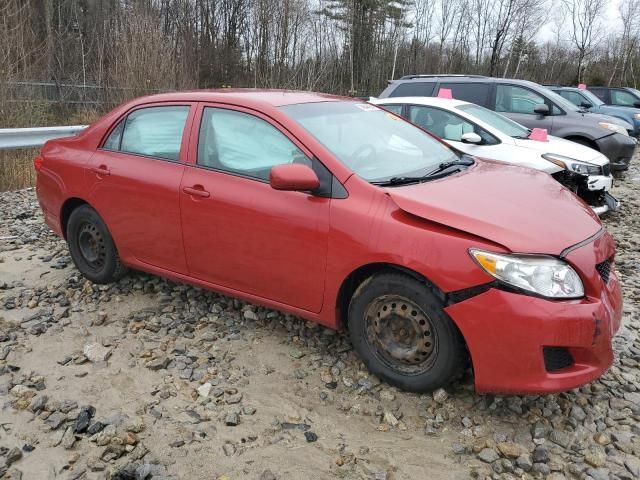 2010 Toyota Corolla Base