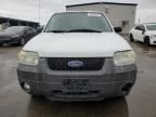 2007 Ford Escape XLT