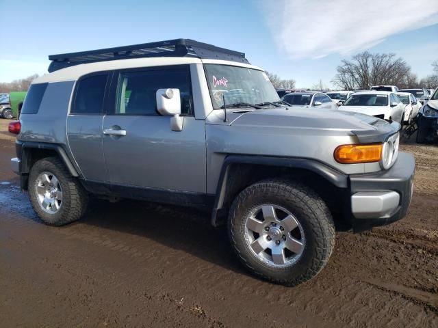 2010 Toyota FJ Cruiser