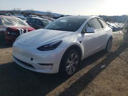 2023 Tesla Model Y for sale in San Martin, CA