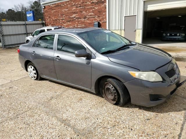 2010 Toyota Corolla Base