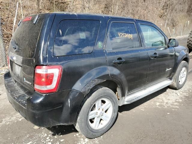 2011 Ford Escape Hybrid