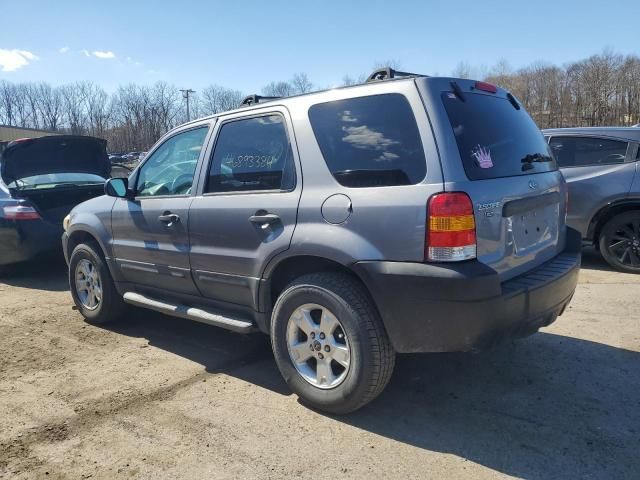 2007 Ford Escape XLT