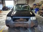 2004 Ford Escape XLT