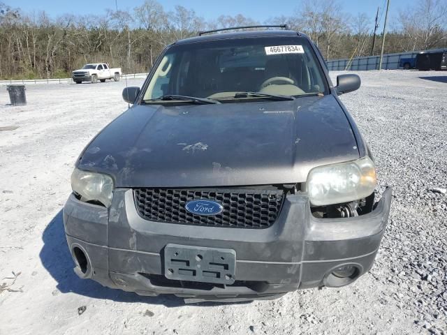 2006 Ford Escape XLT