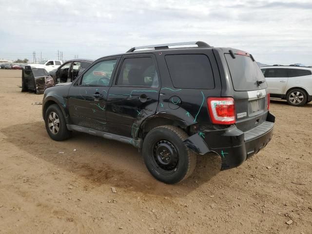 2010 Ford Escape Limited