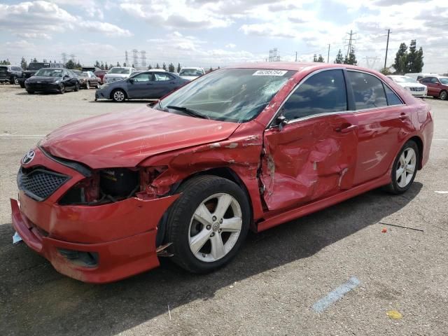 2010 Toyota Camry Base