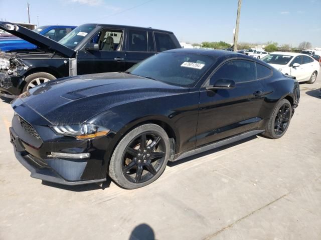 2019 Ford Mustang