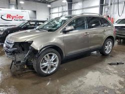 Salvage cars for sale at Ham Lake, MN auction: 2013 Ford Edge Limited