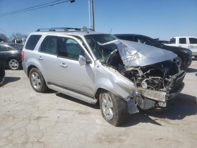 2010 Ford Escape Limited