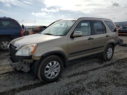 Salvage cars for sale from Copart San Diego, CA: 2006 Honda CR-V EX