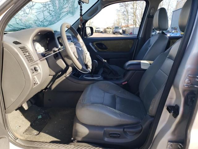 2005 Ford Escape XLT