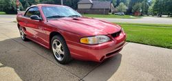 Ford Mustang salvage cars for sale: 1996 Ford Mustang Cobra