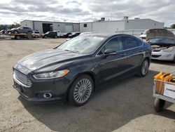 Salvage cars for sale at auction: 2013 Ford Fusion Titanium