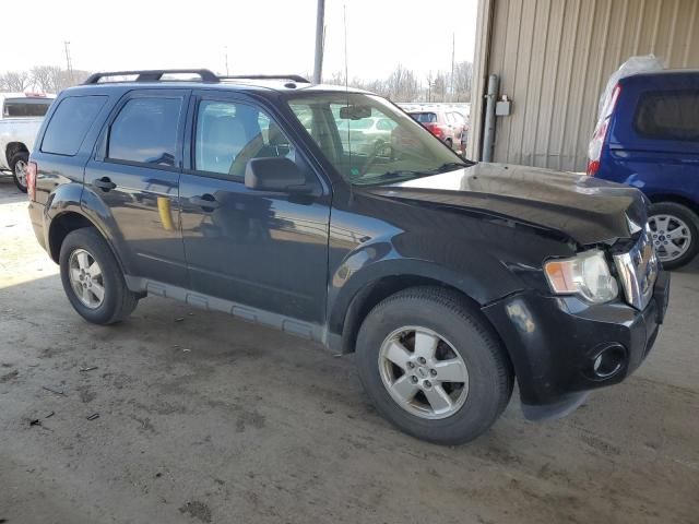 2010 Ford Escape XLT