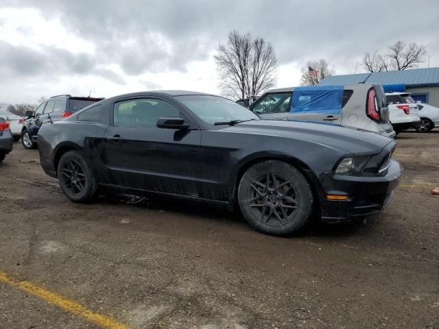 2013 Ford Mustang