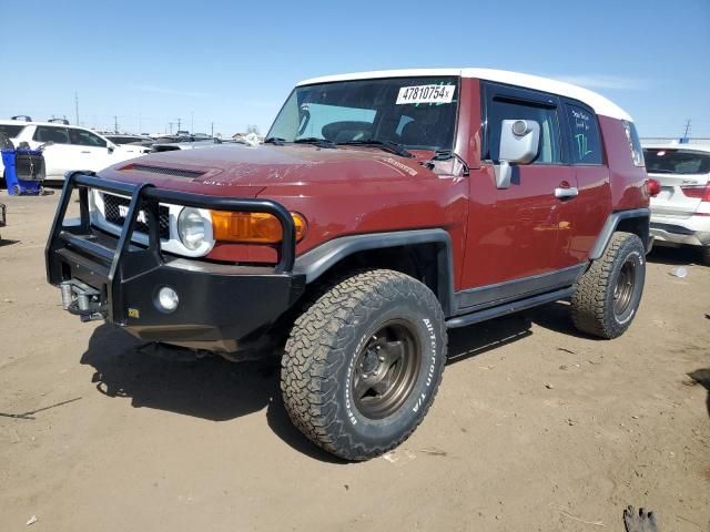 2011 Toyota FJ Cruiser