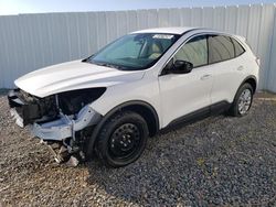 Ford salvage cars for sale: 2021 Ford Escape SE