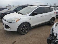 Salvage cars for sale from Copart Hillsborough, NJ: 2014 Ford Escape SE