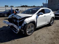 Salvage cars for sale at auction: 2022 Lexus NX 350H