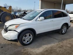 Honda CR-V EXL salvage cars for sale: 2011 Honda CR-V EXL