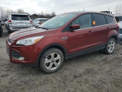 2016 Ford Escape SE for sale in Duryea, PA