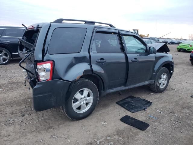 2009 Ford Escape XLT