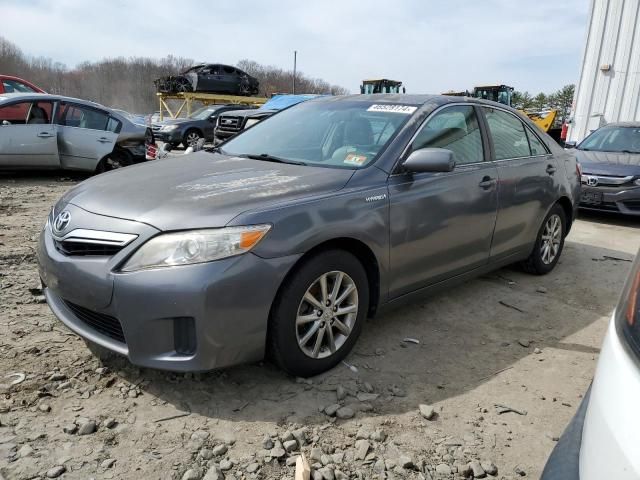 2011 Toyota Camry Hybrid