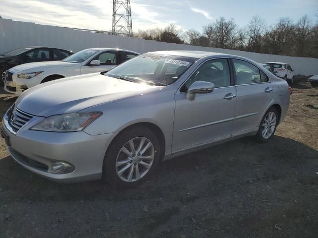 2010 Lexus ES 350