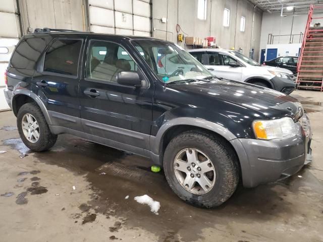 2003 Ford Escape XLT