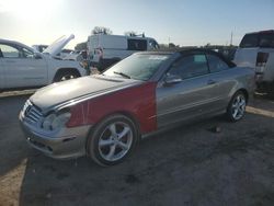 Salvage cars for sale at Riverview, FL auction: 2005 Mercedes-Benz CLK 320