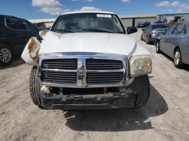 2005 Dodge Dakota Quattro