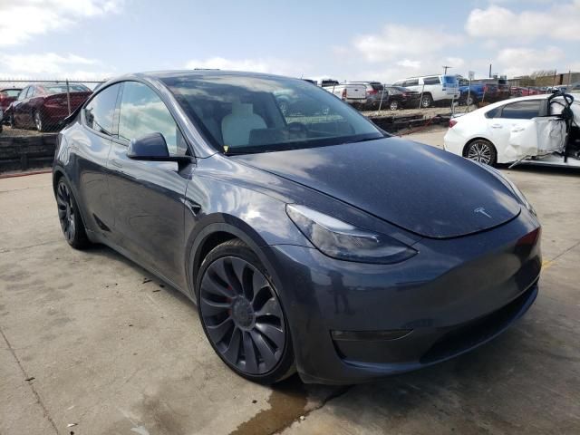 2022 Tesla Model Y