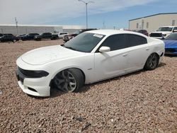 Salvage cars for sale at Phoenix, AZ auction: 2017 Dodge Charger R/T