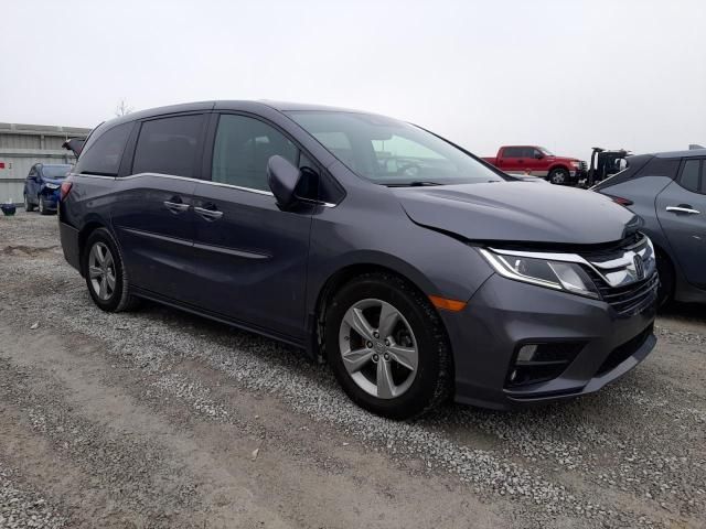 2019 Honda Odyssey EXL