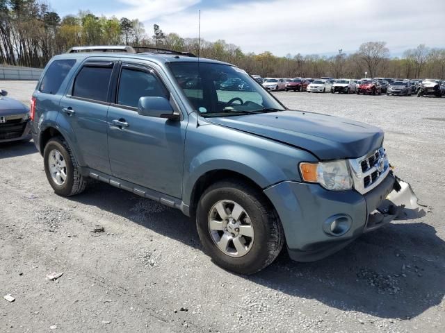 2011 Ford Escape Limited