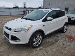 Salvage cars for sale at Appleton, WI auction: 2014 Ford Escape Titanium