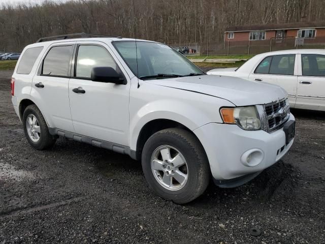 2011 Ford Escape XLT